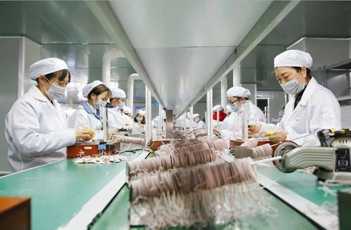 華鎣造 國際國內訂單齊升