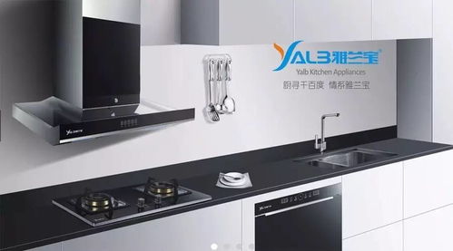 廚衛電器必須要講究不要將就 否則后悔一輩子...