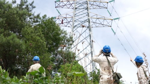 北碚 翻山越嶺巡視線路，全力保障夏季供電安全
