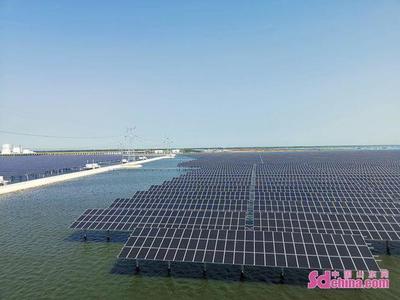 進(jìn)農(nóng)場(chǎng)走園區(qū)——外國(guó)Z世代青年體悟山東農(nóng)業(yè)高質(zhì)量發(fā)展新篇章